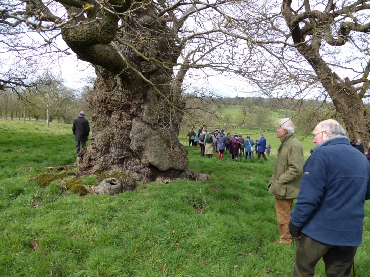 Woodhall Park Study Day