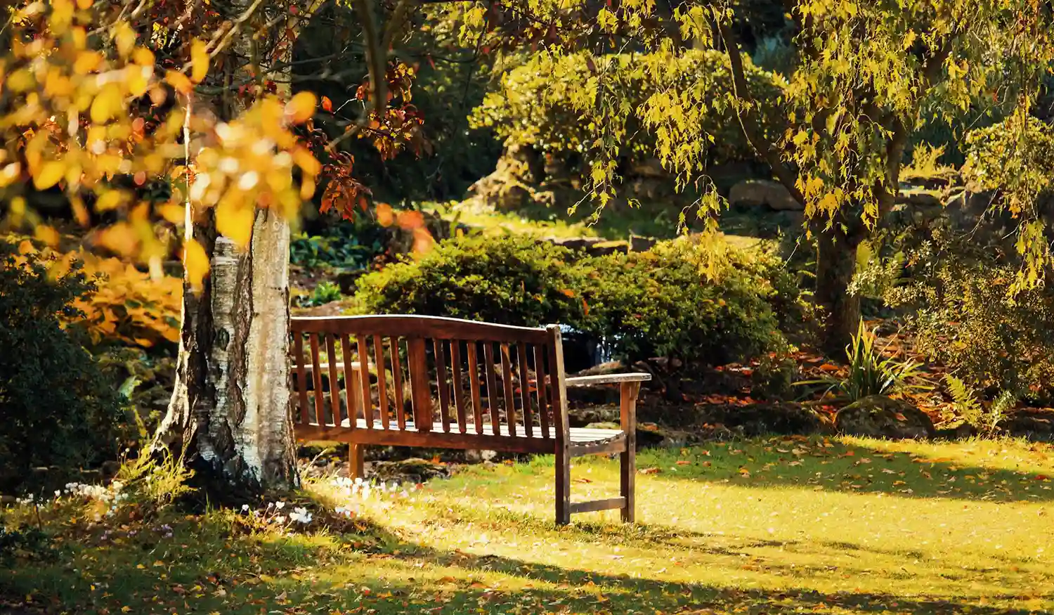 More news coming soon